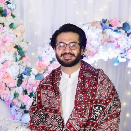 Mohammad Hamza Laghari's Portfolio